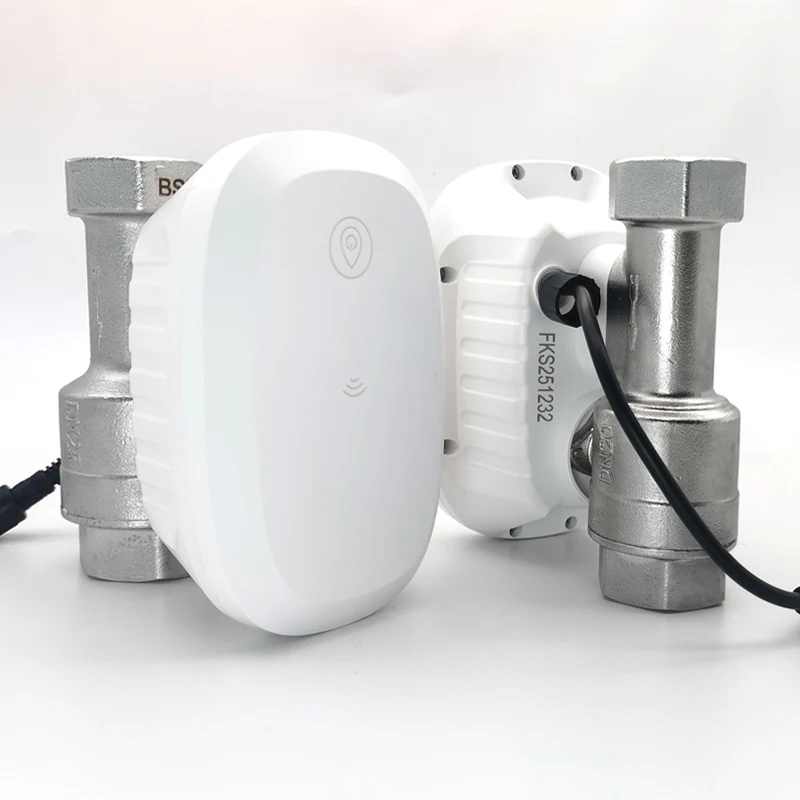 Home Assistant Tuya - Vanne d'eau intelligente WiFi avec contrôle