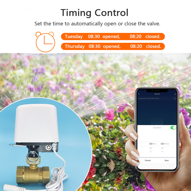 Vanne d'eau intelligente Tuya  - Home Assistant Tuya avis et prix