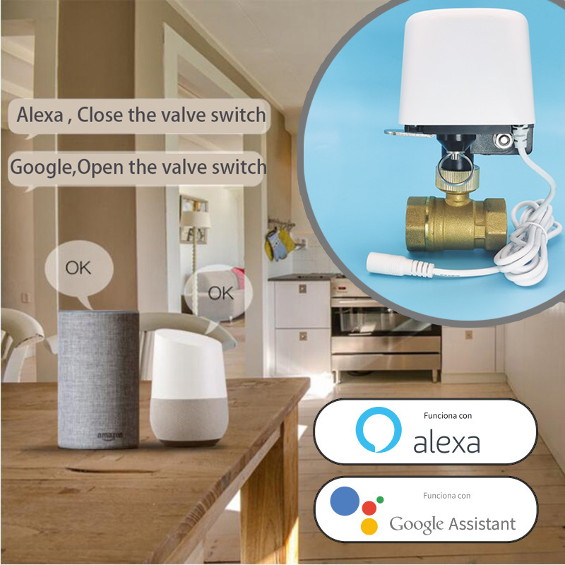 Vanne d'eau intelligente Tuya  - Home Assistant Tuya avis et prix