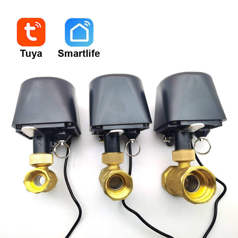 Tuya WiFi ou Zigbee vanne d'ea - Home Assistant Tuya avis et prix